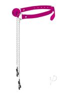 Ouch Ball Gag W/nipple Clamps Pink
