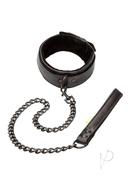 Boundless Collar And Leash Black